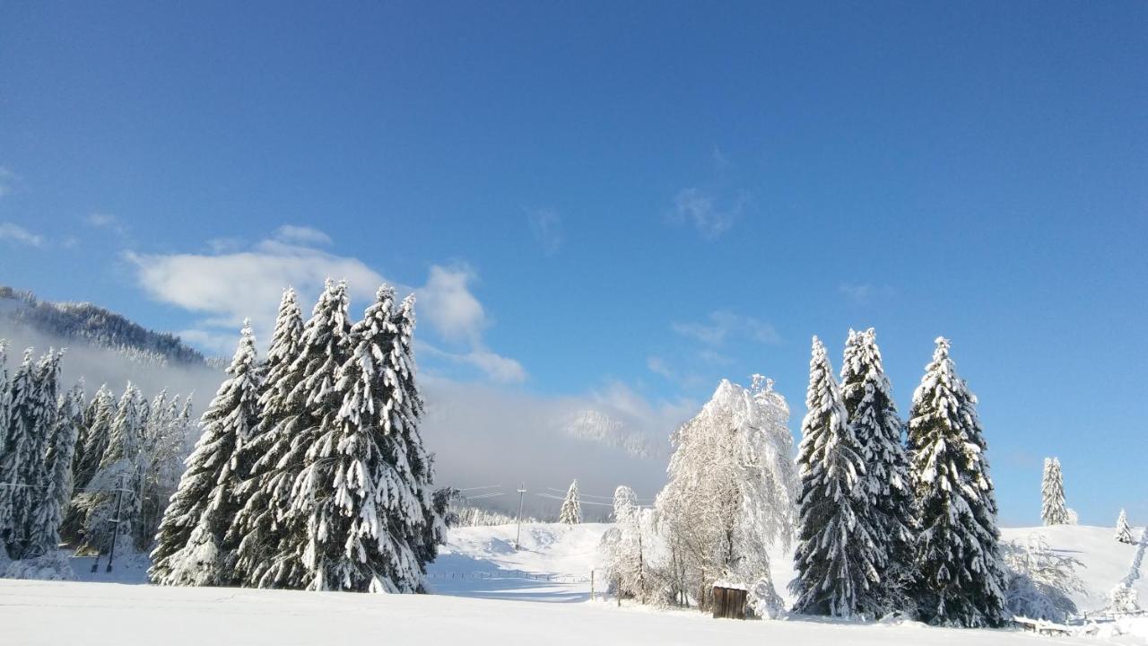 Landhaus Vogel Weissensee Exterior foto